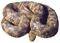Reptilien